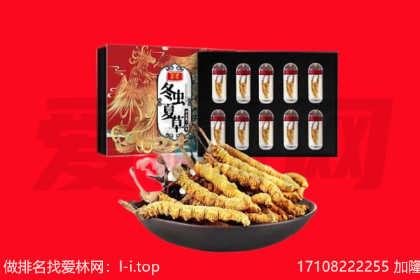 广州黄埔区回收虫草.jpg